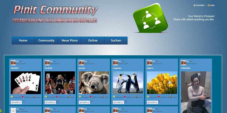 PHP Script Pinit Community System